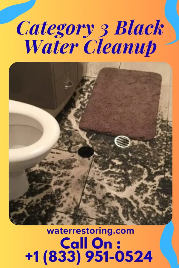 Category 3 Black Water Cleanup in Mosheim, TN