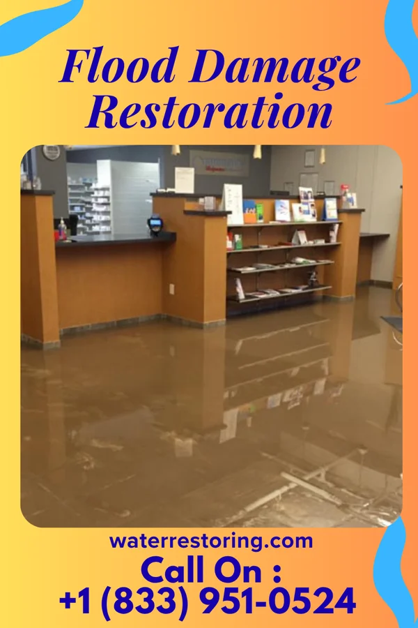 Flood Damage Restoration in Mosheim, TN