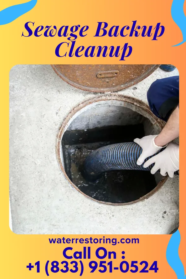 Sewage Backup Cleanup in Mosheim, TN