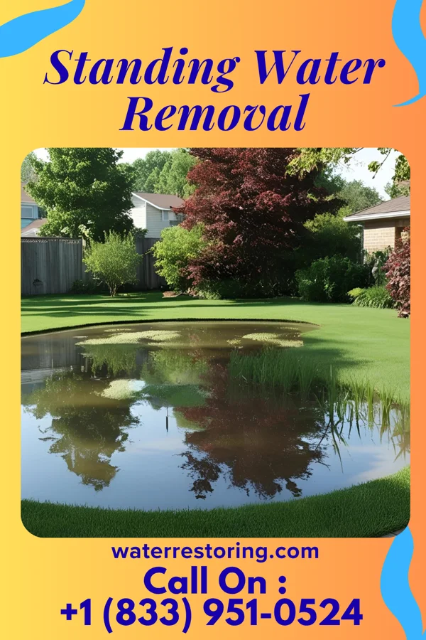 Standing Water Removal in Mosheim, TN